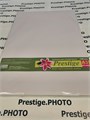 Матовая фотобумага PRESTIGE 140 гр/кв.м, А3, 100 л. 00015 - фото 180 Матовая фотобумага PRESTIGE 140 гр/кв.м, А3, 100 л. 00015 - фото 180