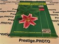 Матовая фотобумага двухсторонняя PRESTIGE 250 гр/кв.м, А4, 50 л. 00012 - фото 239